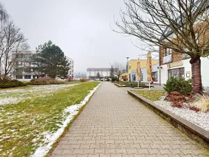 Pronájem bytu 3+1, Týnec nad Sázavou, Jílovská, 71 m2