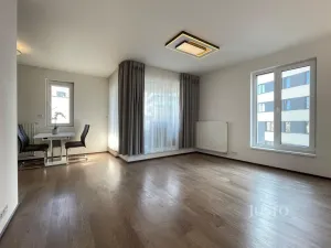 Pronájem bytu 2+kk, Praha - Žižkov, Olgy Havlové, 53 m2