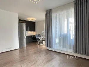 Pronájem bytu 2+kk, Praha - Žižkov, Olgy Havlové, 53 m2