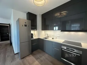 Pronájem bytu 2+kk, Praha - Žižkov, Olgy Havlové, 53 m2