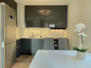 Pronájem bytu 2+kk, Praha - Žižkov, Olgy Havlové, 53 m2