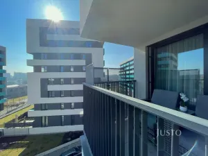 Pronájem bytu 2+kk, Praha - Žižkov, Olgy Havlové, 53 m2