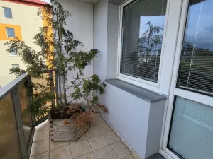 Pronájem bytu 3+1, Třebíč - Nové Dvory, Jar. Haška, 73 m2