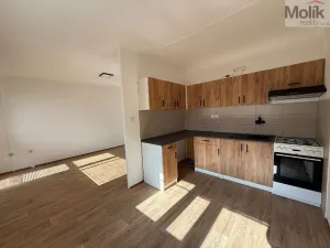 Pronájem bytu 3+1, Most, U Stadionu, 55 m2