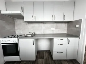 Pronájem bytu 1+1, Ostrava - Mariánské Hory, Václavská, 26 m2