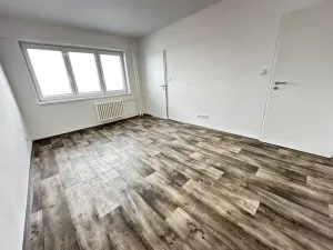 Pronájem bytu 1+1, Ostrava - Mariánské Hory, Václavská, 26 m2