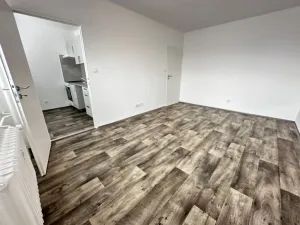 Pronájem bytu 1+1, Ostrava - Mariánské Hory, Václavská, 26 m2