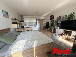 Pronájem bytu 2+kk, Brno - Ponava, Domažlická, 60 m2