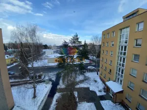 Pronájem bytu 3+1, Frýdek-Místek - Frýdek, Tolstého, 78 m2