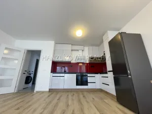 Pronájem bytu 2+kk, České Budějovice, Hálkova, 54 m2