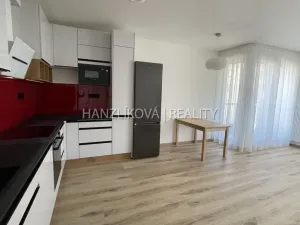 Pronájem bytu 2+kk, České Budějovice, Hálkova, 54 m2