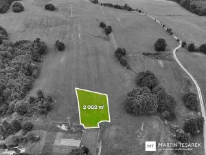 Prodej pozemku pro bydlení, Pulečný, 9697 m2