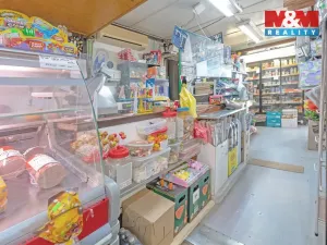 Prodej obchodního prostoru, Šitbořice, Dlouhá, 143 m2