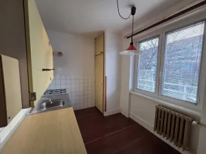 Prodej bytu 1+1, Praha - Vršovice, U Slavie, 44 m2