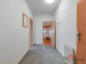 Prodej bytu 1+kk, Plzeň - Severní Předměstí, Kotíkovská, 38 m2