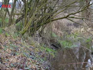 Prodej pole, Hrubá Skála, 1706 m2