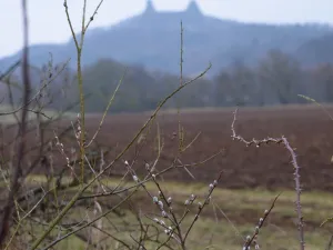 Prodej pole, Hrubá Skála, 1706 m2