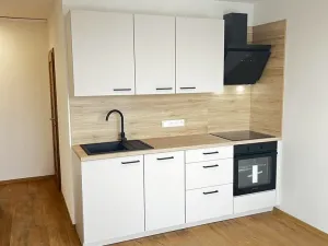 Prodej bytu 1+1, Litoměřice - Pokratice, Revoluční, 35 m2