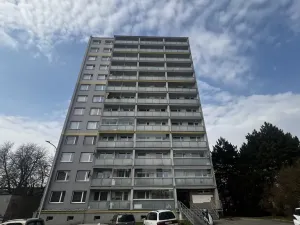 Prodej bytu 1+1, Litoměřice - Pokratice, Revoluční, 35 m2