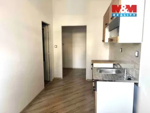 Prodej činžovního domu, Duchcov, Husova, 320 m2