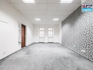 Pronájem obchodního prostoru, Plzeň, Na Roudné, 43 m2