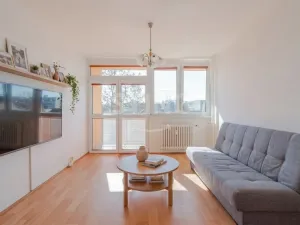 Prodej bytu 1+1, Opava, Holasická, 35 m2