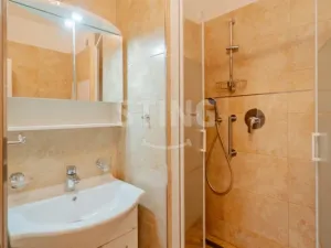 Prodej bytu 1+1, Opava, Holasická, 35 m2