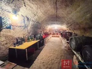 Prodej vinného sklepa, Znojmo, 150 m2