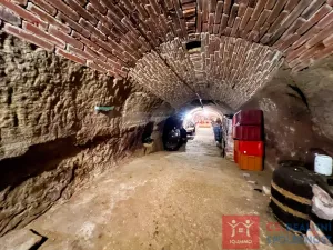 Prodej vinného sklepa, Znojmo, 150 m2