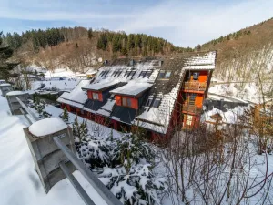 Prodej bytu 1+kk, Žacléř - Prkenný Důl, 44 m2