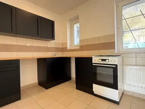 Pronájem bytu 3+1, Ústí nad Labem - Krásné Březno, Na Vinici, 65 m2