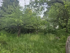 Prodej chaty, Praha - Dejvice, Na Pučálce, 21 m2