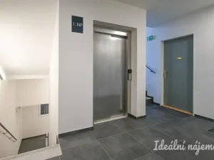 Pronájem bytu 2+kk, Brno, Jižní, 35 m2