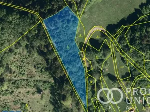 Prodej lesa, Lhota u Vsetína, 3762 m2