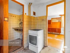 Prodej chalupy, Starý Plzenec, Nádražní, 110 m2