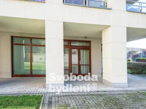 Pronájem bytu 2+kk, Praha - Dejvice, Heinemannova, 52 m2