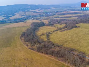 Prodej lesa, Dolní Habartice, 10293 m2