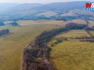 Prodej lesa, Dolní Habartice, 10293 m2