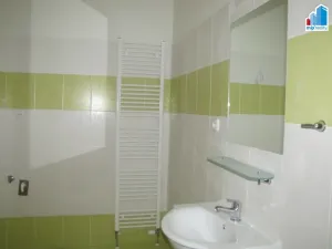 Pronájem bytu 1+1, Plzeň - Jižní Předměstí, V Šipce, 56 m2