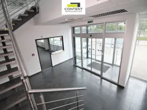 Pronájem skladu, Most - Velebudice, Skyřická, 8712 m2