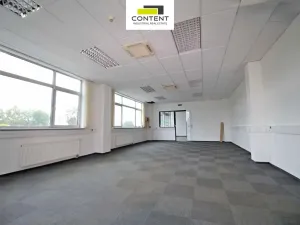 Pronájem skladu, Most - Velebudice, Skyřická, 8712 m2