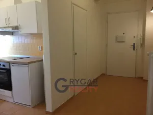 Pronájem bytu 1+1, Praha - Vinohrady, Římská, 42 m2