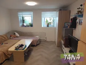 Prodej bytu 2+1, Jenišovice, 54 m2