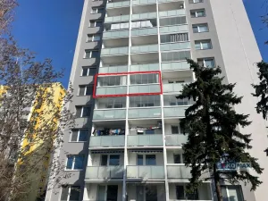 Pronájem bytu 3+1, Břeclav, J. Palacha, 68 m2