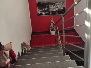 Prodej rodinného domu, Svitavy, U Stadionu, 170 m2