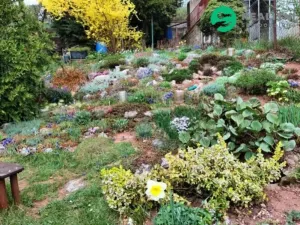 Prodej chaty, Moravská Třebová - Boršov, 1, 55 m2