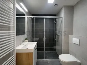 Pronájem bytu 1+kk, Brno, Fryčajova, 30 m2