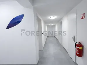 Pronájem bytu 1+kk, Brno, Fryčajova, 30 m2