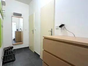 Prodej bytu 1+1, Brno, Křížkovského, 37 m2