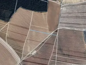 Prodej pole, Dolní Bojanovice, 3004 m2